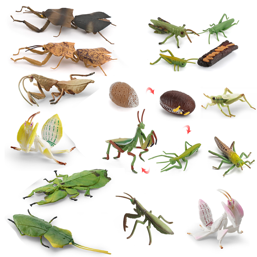 Kids Toys Home - Model Figur Serangga Daun Raksasa Mantis
