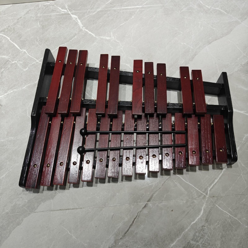 Gambang Portabel 25 Nada Gamba - Kids Toys Xylophone ulasan dan harga