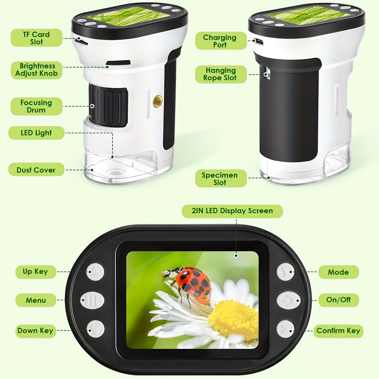 Kit Mikroskop Biologi Anak 100 - Microscope Kids Science ulasan dan harga