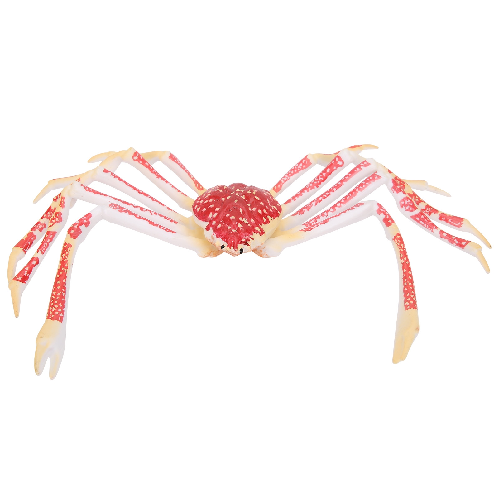 Model Kepiting Simulasi Dekora - Kids Toys Home ulasan dan harga
