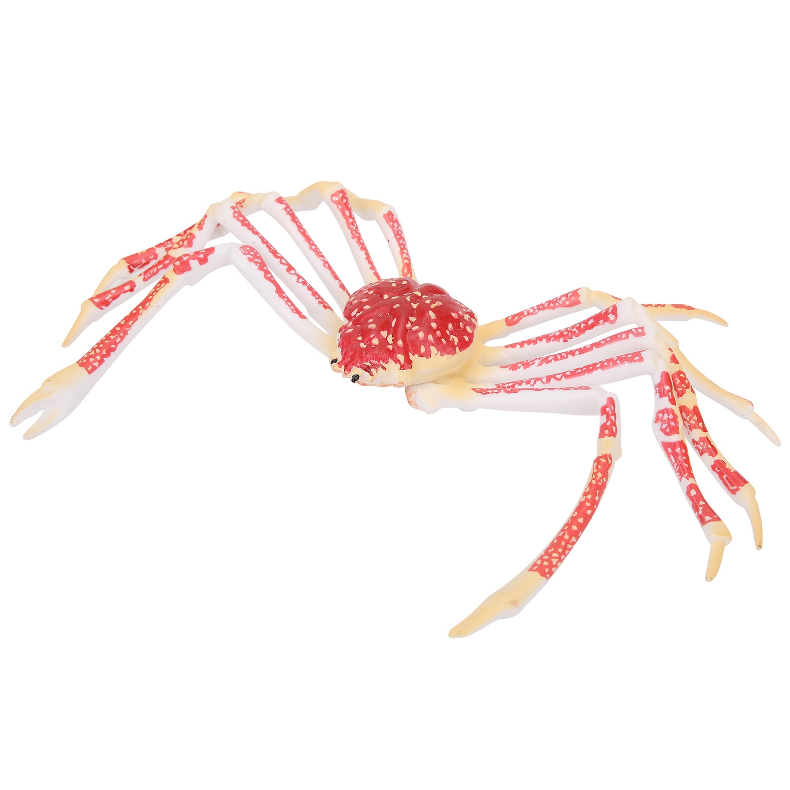 Model Kepiting Simulasi Dekora - Kids Toys Home ulasan dan harga