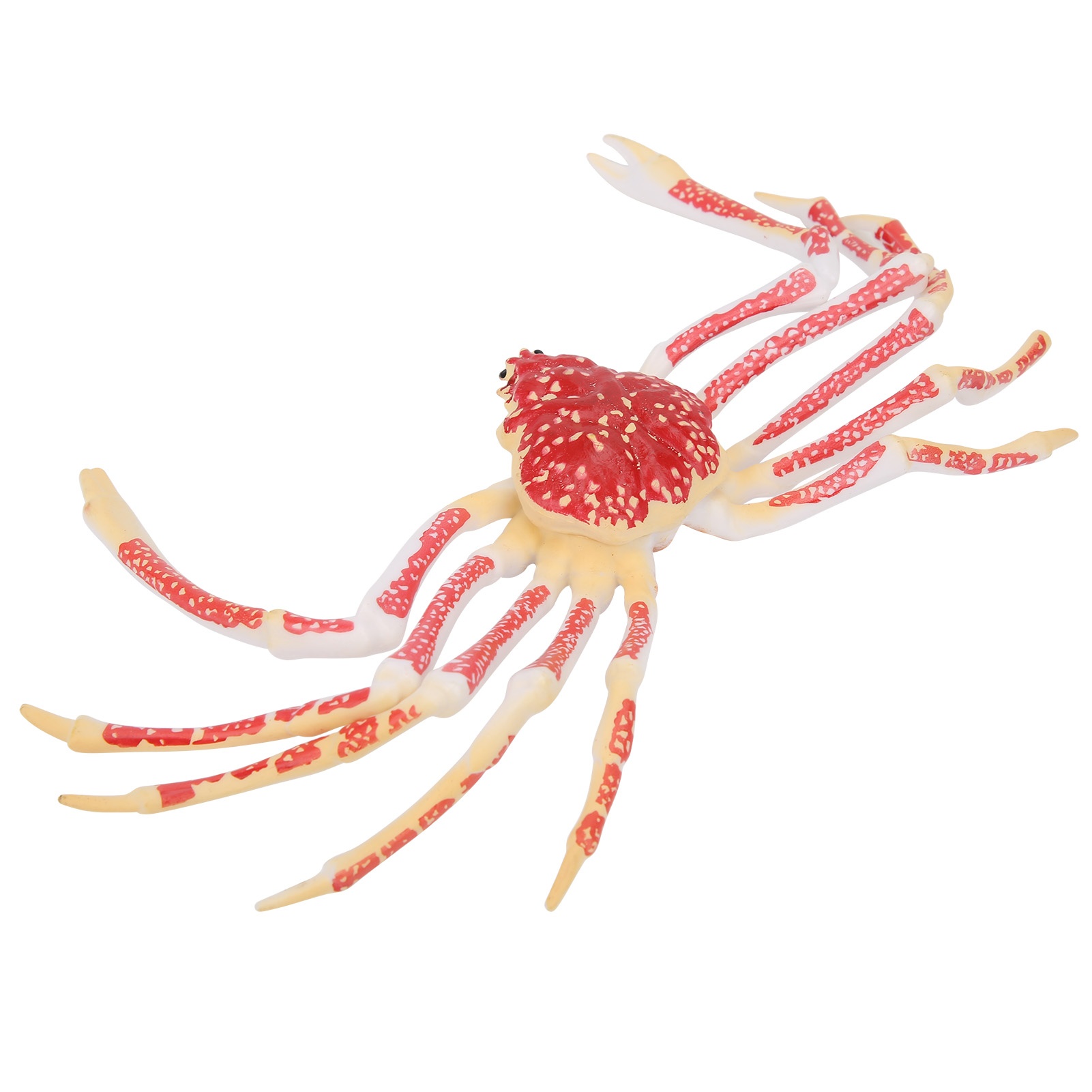 Model Kepiting Simulasi Dekora - Kids Toys Home ulasan dan harga