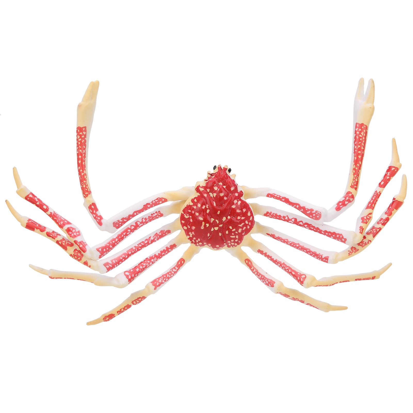 Model Kepiting Simulasi Dekora - Kids Toys Home ulasan dan harga