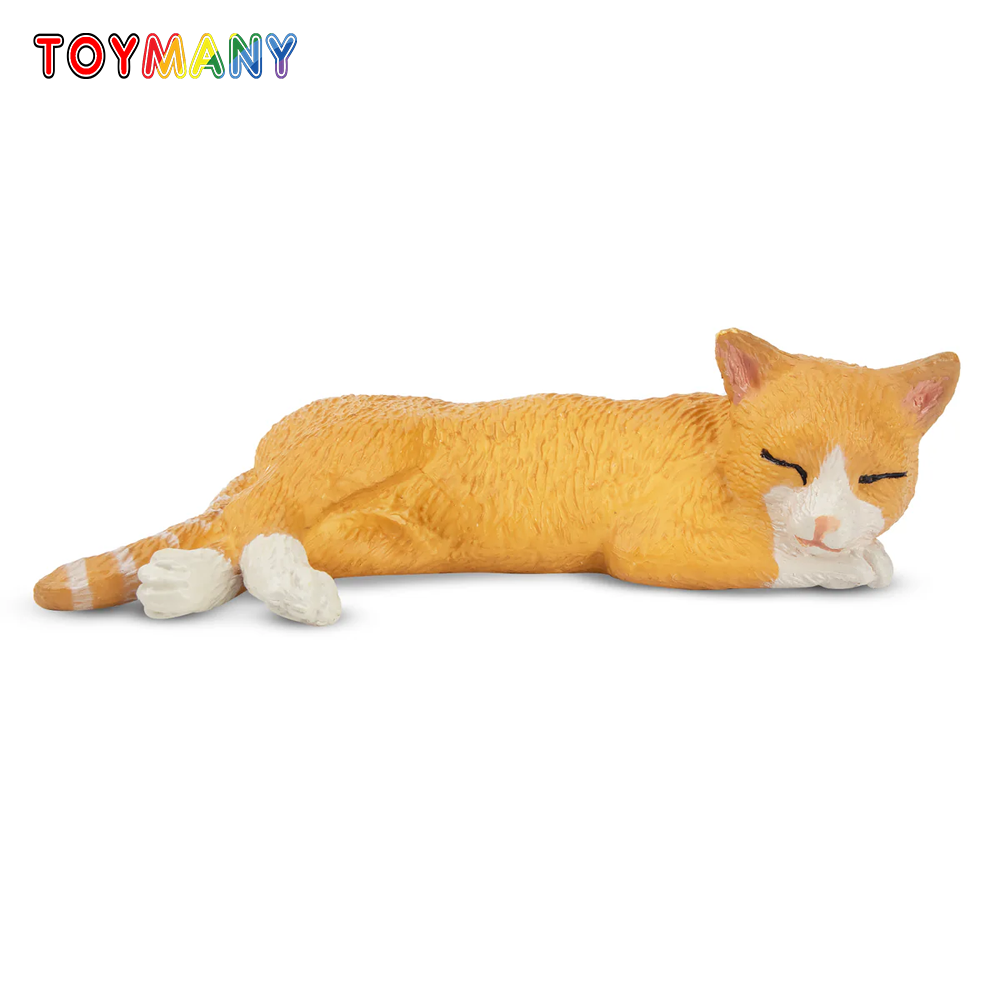 Toymany Mainan Model Hewan Pel - Kids Toys Under $5 ulasan dan harga