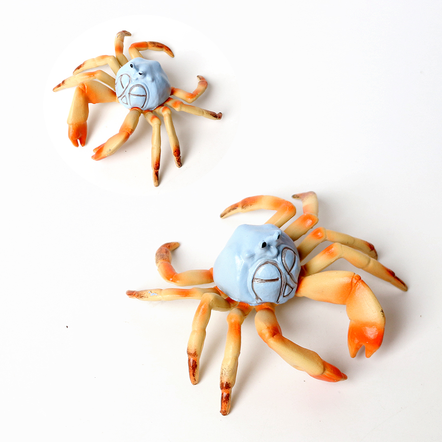 Hewan Laut Realistis Kepiting  - Kids Toys Home ulasan dan harga