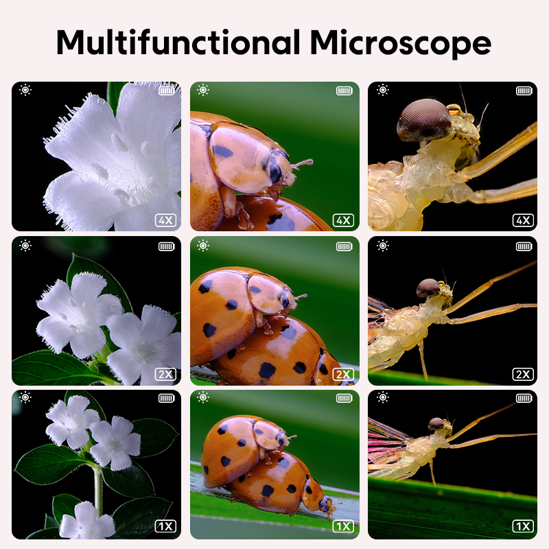 Mikroskop Optik Anak Mini deng - Microscope Kids Science ulasan dan harga