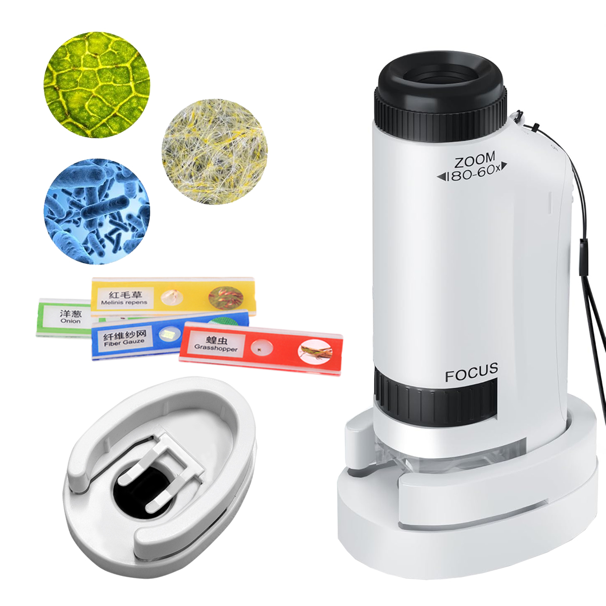 Kit Mainan Genggam Mikroskop M - Microscope Kids Science ulasan dan harga