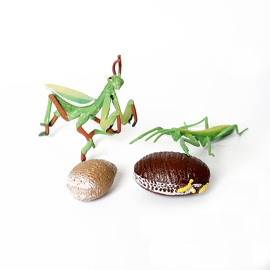 Model Figur Serangga Daun Raks - Kids Toys Home ulasan dan harga